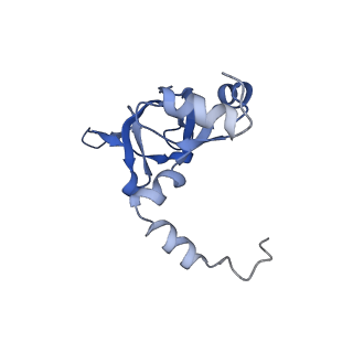 24409_8eth_Y_v1-2
Ytm1 associated 60S nascent ribosome State 1B