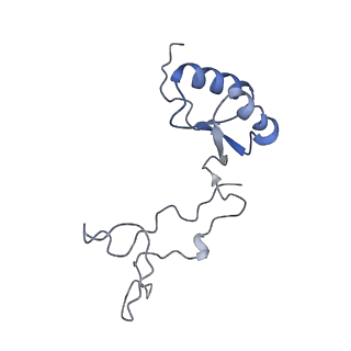 24409_8eth_e_v1-2
Ytm1 associated 60S nascent ribosome State 1B