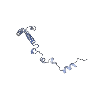 24409_8eth_h_v1-2
Ytm1 associated 60S nascent ribosome State 1B