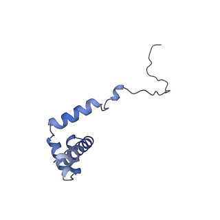 24409_8eth_i_v1-2
Ytm1 associated 60S nascent ribosome State 1B