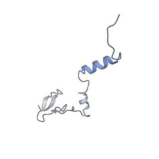 24409_8eth_j_v1-2
Ytm1 associated 60S nascent ribosome State 1B