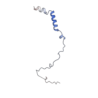 24409_8eth_m_v1-2
Ytm1 associated 60S nascent ribosome State 1B