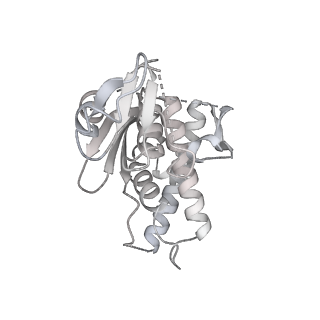 24409_8eth_n_v1-2
Ytm1 associated 60S nascent ribosome State 1B
