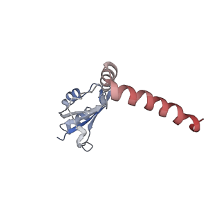 24409_8eth_o_v1-2
Ytm1 associated 60S nascent ribosome State 1B