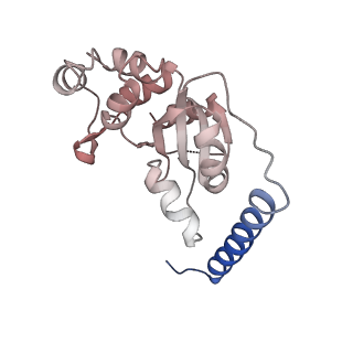 24409_8eth_t_v1-2
Ytm1 associated 60S nascent ribosome State 1B