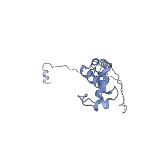 24409_8eth_v_v1-2
Ytm1 associated 60S nascent ribosome State 1B