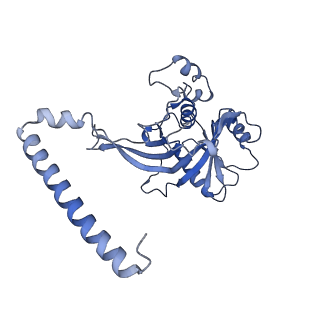 24409_8eth_x_v1-2
Ytm1 associated 60S nascent ribosome State 1B