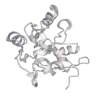 24409_8eth_y_v1-2
Ytm1 associated 60S nascent ribosome State 1B