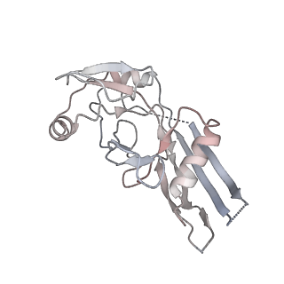 28583_8et1_D_v1-2
CryoEM structure of GSDMB pore without transmembrane beta-barrel