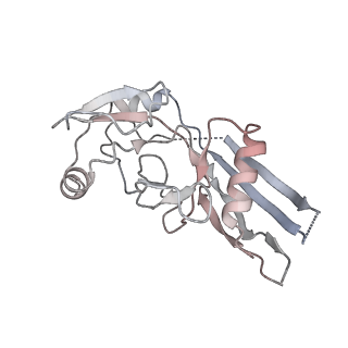 28583_8et1_E_v1-2
CryoEM structure of GSDMB pore without transmembrane beta-barrel