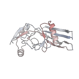28583_8et1_G_v1-2
CryoEM structure of GSDMB pore without transmembrane beta-barrel