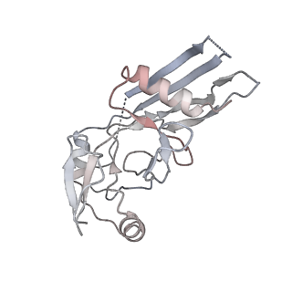 28583_8et1_J_v1-2
CryoEM structure of GSDMB pore without transmembrane beta-barrel