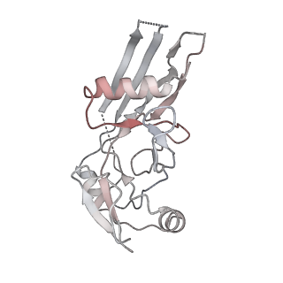 28583_8et1_L_v1-2
CryoEM structure of GSDMB pore without transmembrane beta-barrel