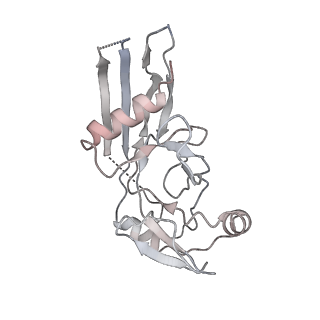 28583_8et1_N_v1-2
CryoEM structure of GSDMB pore without transmembrane beta-barrel