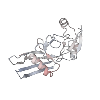 28583_8et1_U_v1-2
CryoEM structure of GSDMB pore without transmembrane beta-barrel
