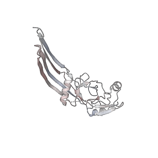 28584_8et2_I_v1-2
CryoEM structure of the GSDMB pore
