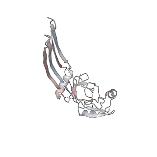 28584_8et2_J_v1-2
CryoEM structure of the GSDMB pore