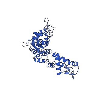 28585_8et3_C_v1-1
Cryo-EM structure of a delivery complex containing the SspB adaptor, an ssrA-tagged substrate, and the AAA+ ClpXP protease