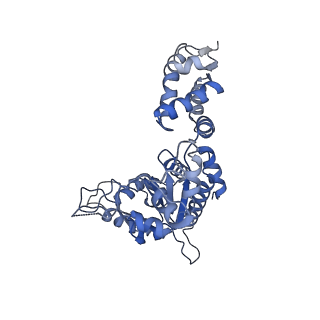 28585_8et3_E_v1-1
Cryo-EM structure of a delivery complex containing the SspB adaptor, an ssrA-tagged substrate, and the AAA+ ClpXP protease