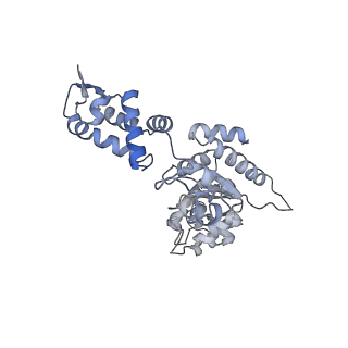 28585_8et3_F_v1-1
Cryo-EM structure of a delivery complex containing the SspB adaptor, an ssrA-tagged substrate, and the AAA+ ClpXP protease