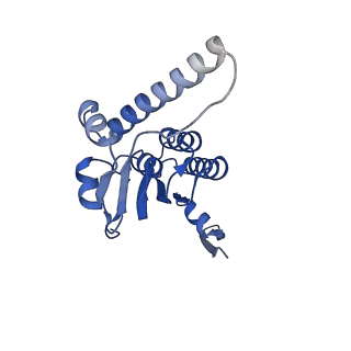 28585_8et3_I_v1-1
Cryo-EM structure of a delivery complex containing the SspB adaptor, an ssrA-tagged substrate, and the AAA+ ClpXP protease