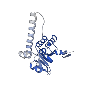 28585_8et3_J_v1-1
Cryo-EM structure of a delivery complex containing the SspB adaptor, an ssrA-tagged substrate, and the AAA+ ClpXP protease