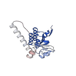 28585_8et3_K_v1-1
Cryo-EM structure of a delivery complex containing the SspB adaptor, an ssrA-tagged substrate, and the AAA+ ClpXP protease