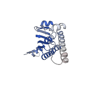 28585_8et3_N_v1-1
Cryo-EM structure of a delivery complex containing the SspB adaptor, an ssrA-tagged substrate, and the AAA+ ClpXP protease