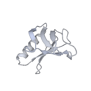 28585_8et3_Y_v1-1
Cryo-EM structure of a delivery complex containing the SspB adaptor, an ssrA-tagged substrate, and the AAA+ ClpXP protease