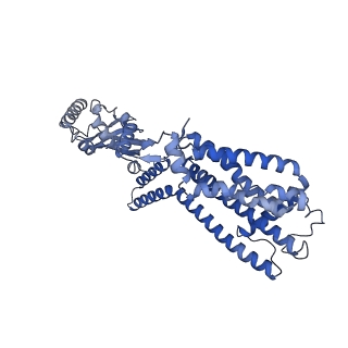 28595_8etp_B_v1-0
Cryo-EM structure of cGMP bound closed state of human CNGA3/CNGB3 channel in GDN