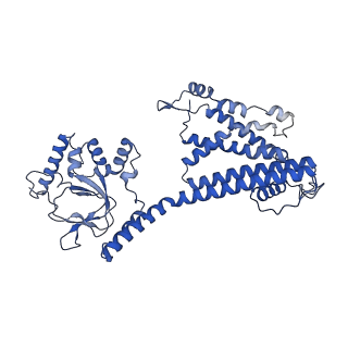 28595_8etp_C_v1-0
Cryo-EM structure of cGMP bound closed state of human CNGA3/CNGB3 channel in GDN