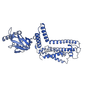 28595_8etp_D_v1-0
Cryo-EM structure of cGMP bound closed state of human CNGA3/CNGB3 channel in GDN