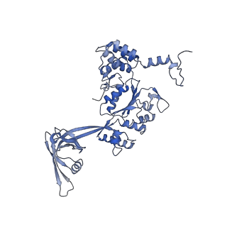 28597_8ets_Y_v1-1
Class1 of the INO80-Hexasome complex
