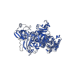 31294_7et1_A_v1-1
Cryo-EM structure of the gastric proton pump K791S/E820D/Y340N/E936V/Y799W mutant in K+-occluded (K+)E2-AlF state