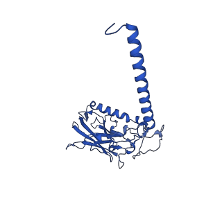 31294_7et1_B_v1-1
Cryo-EM structure of the gastric proton pump K791S/E820D/Y340N/E936V/Y799W mutant in K+-occluded (K+)E2-AlF state