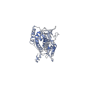 31296_7et2_B_v1-1
Human Cytomegalovirus, C12 portal
