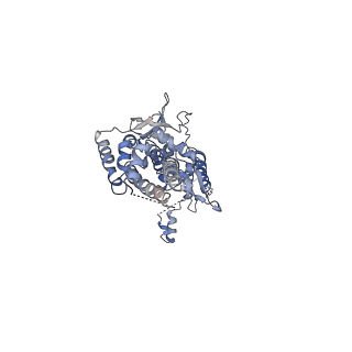 31296_7et2_C_v1-1
Human Cytomegalovirus, C12 portal