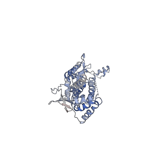 31296_7et2_E_v1-1
Human Cytomegalovirus, C12 portal