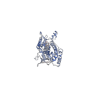 31296_7et2_H_v1-1
Human Cytomegalovirus, C12 portal