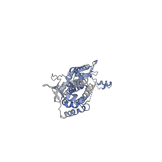 31296_7et2_J_v1-1
Human Cytomegalovirus, C12 portal