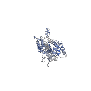 31296_7et2_K_v1-1
Human Cytomegalovirus, C12 portal