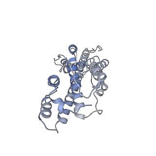 31297_7et3_1_v1-1
C5 portal vertex in the enveloped virion capsid