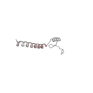 31297_7et3_O_v1-1
C5 portal vertex in the enveloped virion capsid