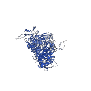 31301_7eto_C_v1-1
C1 CVSC-binding penton vertex in the virion capsid of Human Cytomegalovirus