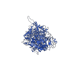31301_7eto_D_v1-1
C1 CVSC-binding penton vertex in the virion capsid of Human Cytomegalovirus