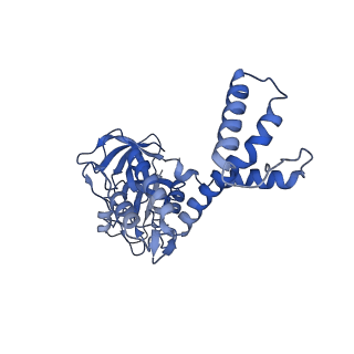 31301_7eto_I_v1-1
C1 CVSC-binding penton vertex in the virion capsid of Human Cytomegalovirus
