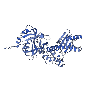 31301_7eto_M_v1-1
C1 CVSC-binding penton vertex in the virion capsid of Human Cytomegalovirus