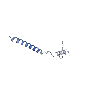 31301_7eto_N_v1-1
C1 CVSC-binding penton vertex in the virion capsid of Human Cytomegalovirus