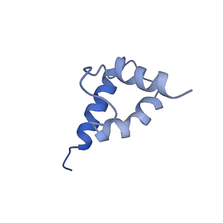 31301_7eto_Q_v1-1
C1 CVSC-binding penton vertex in the virion capsid of Human Cytomegalovirus
