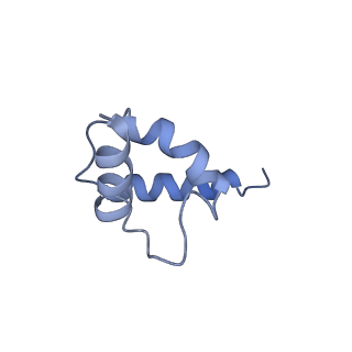 31301_7eto_R_v1-1
C1 CVSC-binding penton vertex in the virion capsid of Human Cytomegalovirus